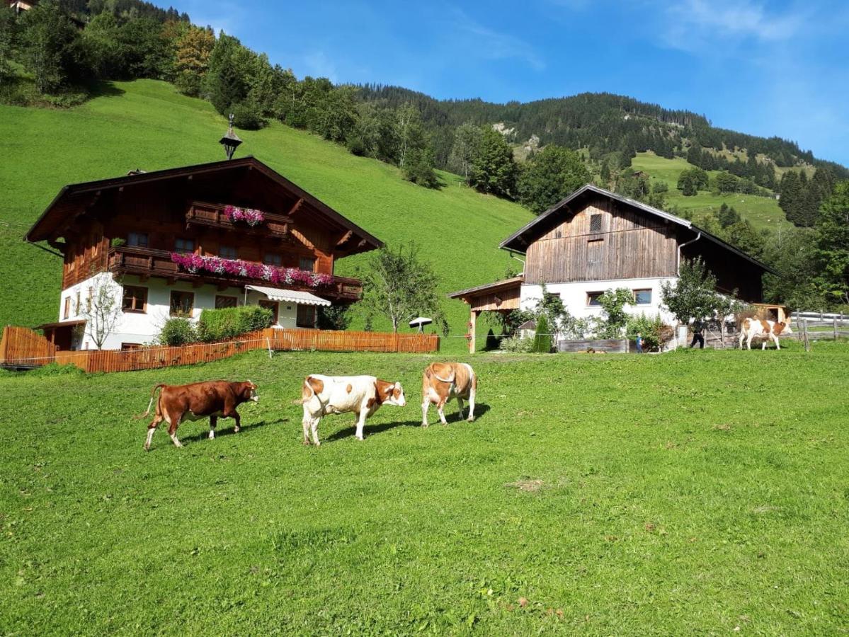 Antenbachhof - Chambres d’hôtes