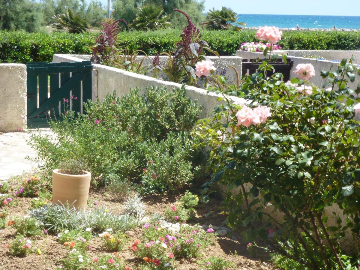 B&B Palavas-les-Flots - Goelands - Bed and Breakfast Palavas-les-Flots