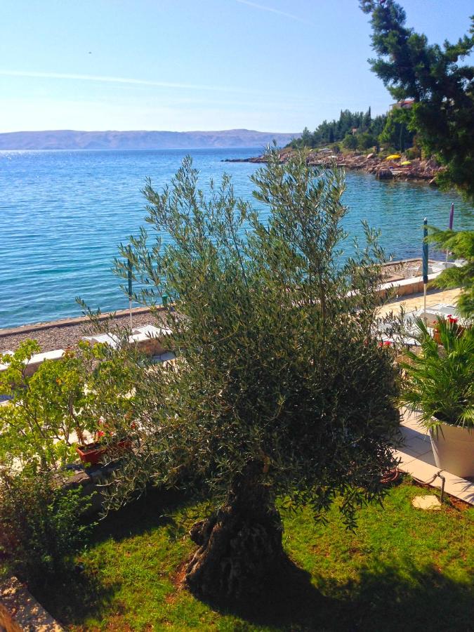 Apartmani Ribarica**** - Ferienwohnung