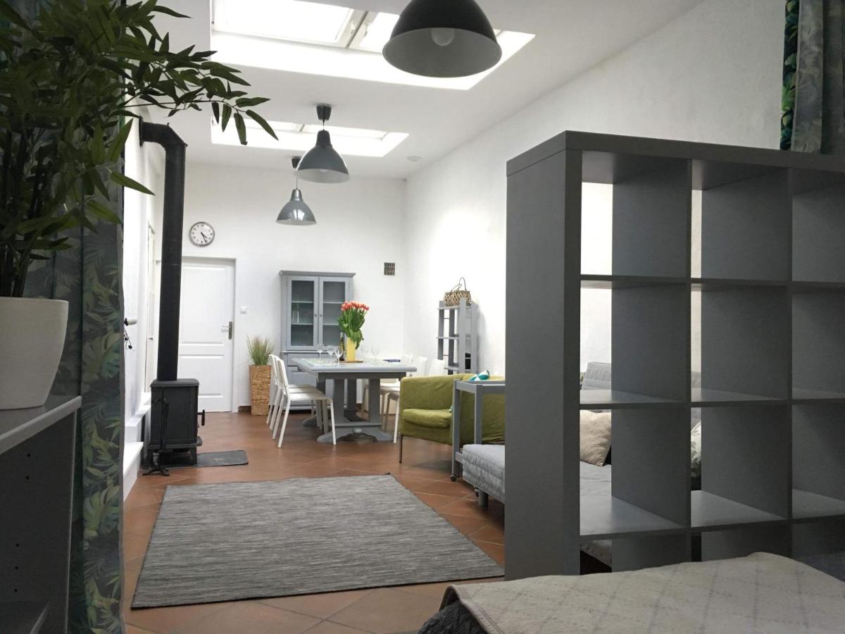 BIG CALM APART HOTEL 15min WARSAW 6pers WiFi Fireplace Garden Grill - Ferienwohnung Warschau