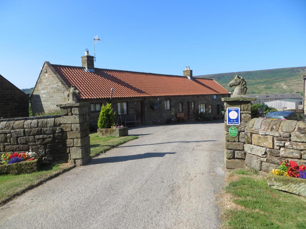 Bungalow (4 Adults)