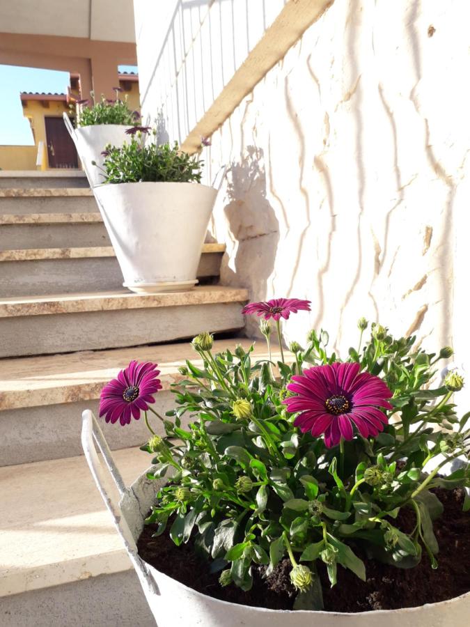 Il Vaso di Creta - B&B