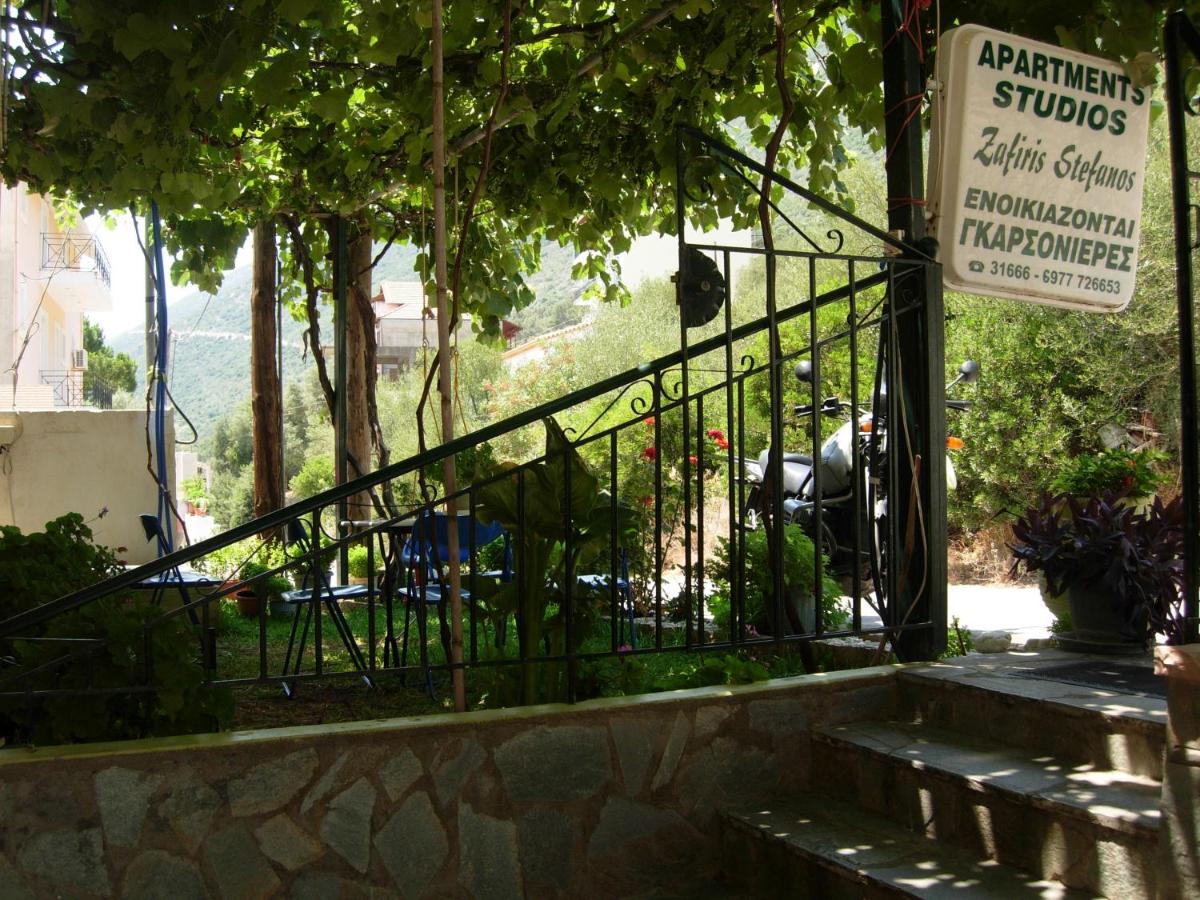Steven - B&B Vasiliki