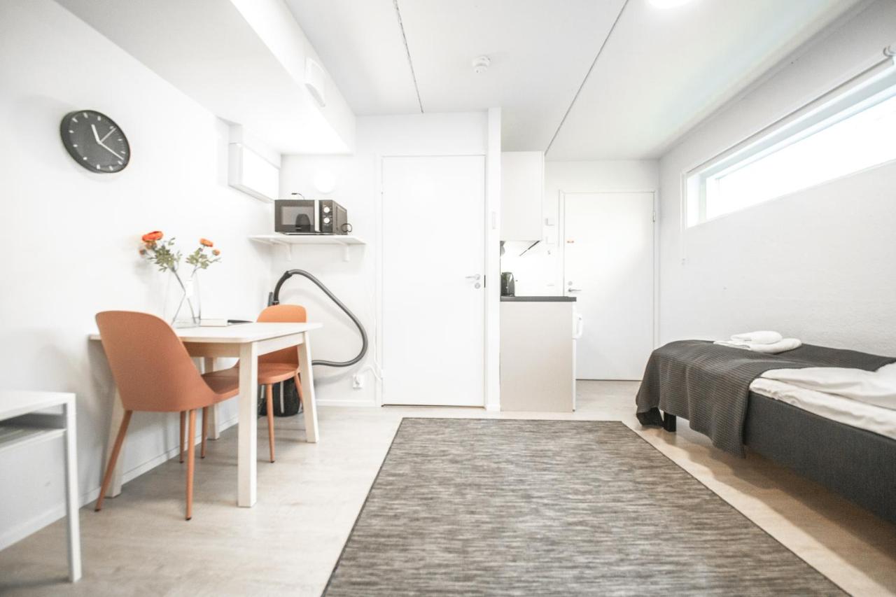 Basement Studio with Sauna