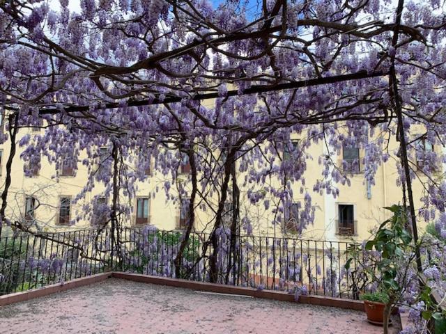 Appartamento Il Glicine - B&B Catania
