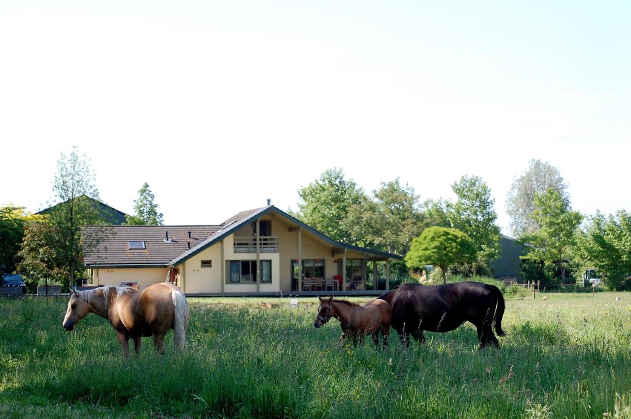 Lelymare Logies - B&B