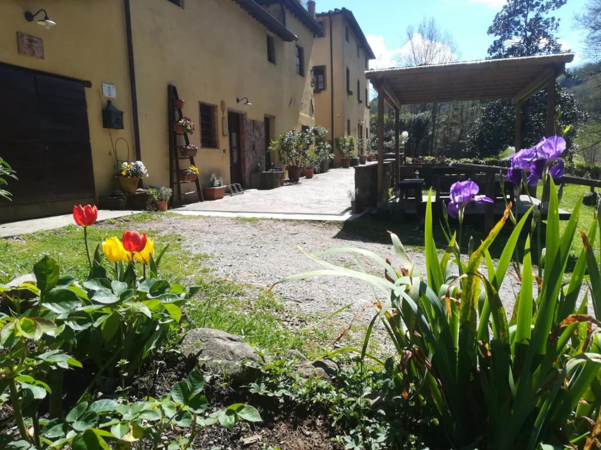 B&B Lucques - A Casa Del Tosi - Bed and Breakfast Lucques