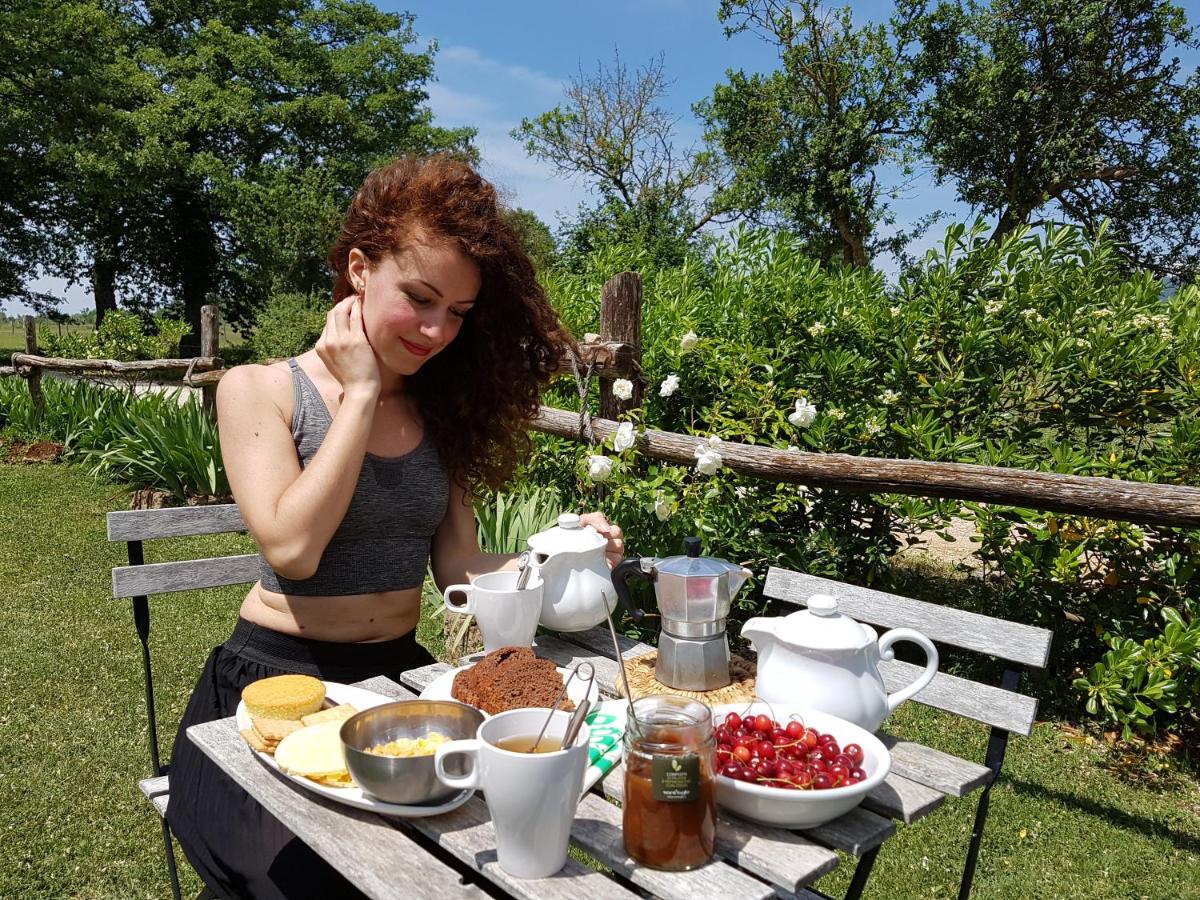 Glamping in Toscana, luxury tents in agriturismo biologico - B&B