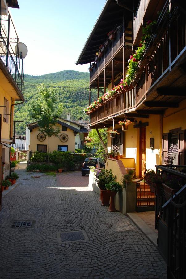 Zia Letizia - B&B