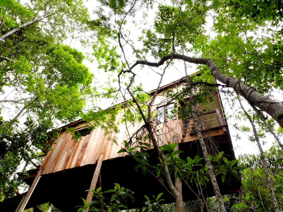 La Luciole Ecolodge - Ferienwohnung