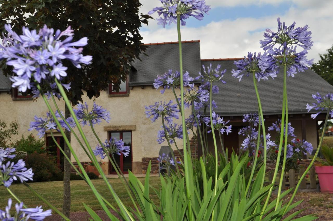 La Demeure de Merlin l'Enchanteur - B&B