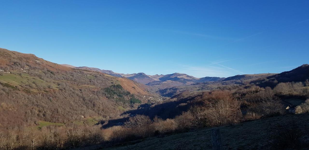 Maison du pays de Salers dans le parc des volcans d'Auvergne - Ferienwohnung