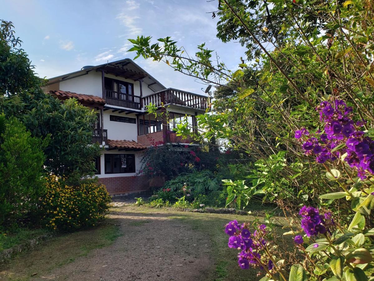 Hostal Pachamama - Bed and Breakfast