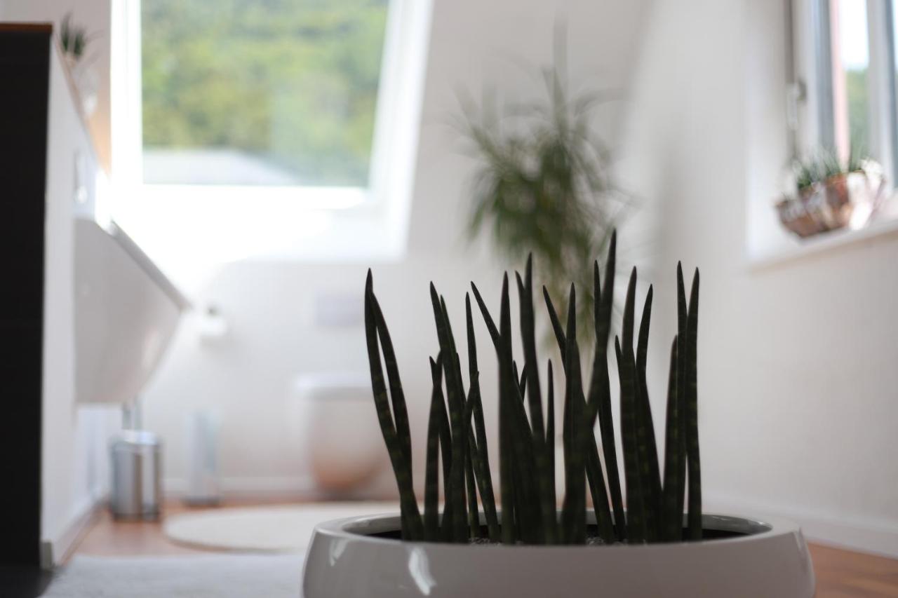 Ferienwohnungen Ries - B&B