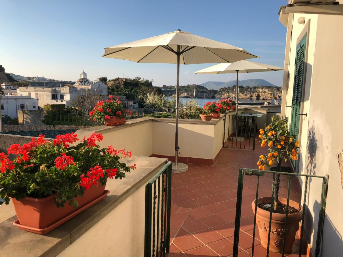 La Dragonara - B&B Bacoli