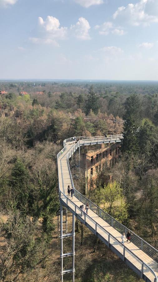 Ferienwohnung in Beelitz Heilstätten - B&B Beelitz