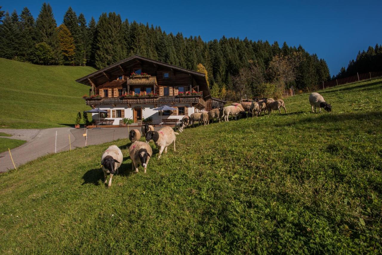 Bauernhof Mühltalhof - B&B Ellmau