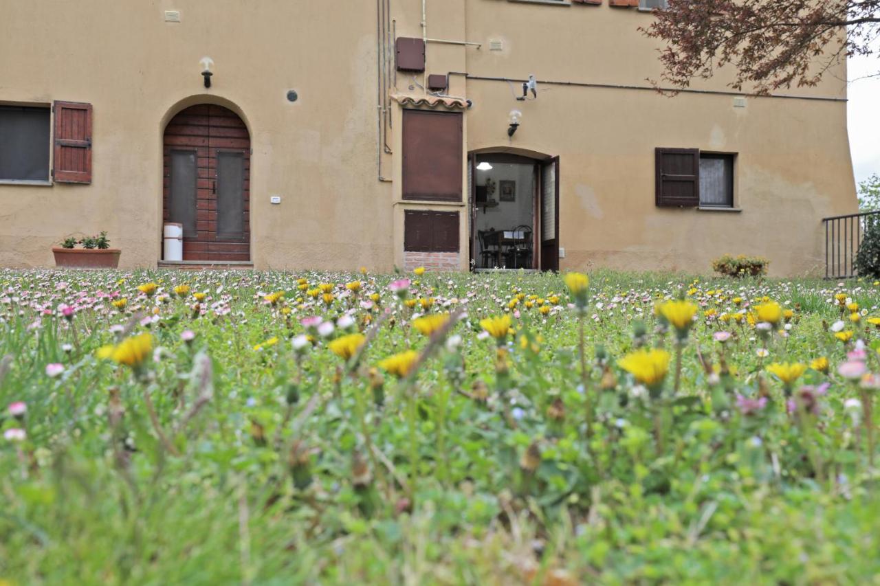 Apartment mit Gartenblick - Erdgeschoss