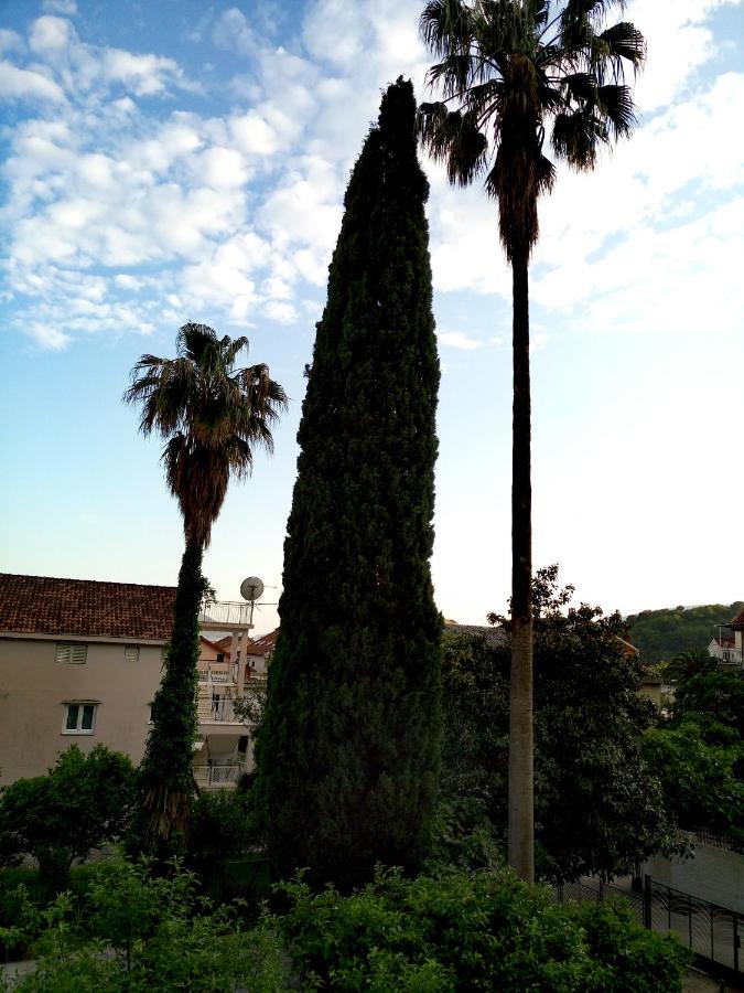 Zemunella Guest House - B&B