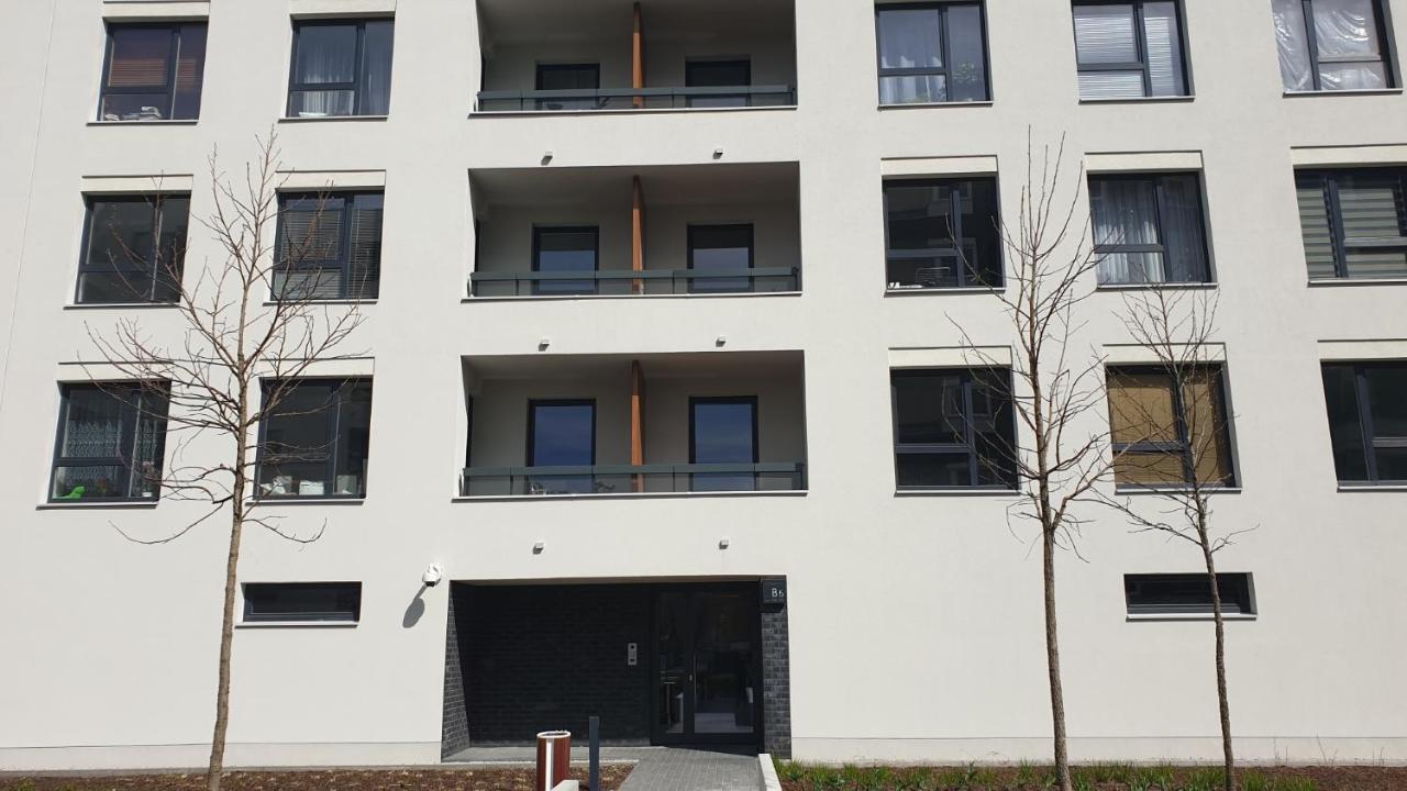 Quo Vadis Apartment - B&B