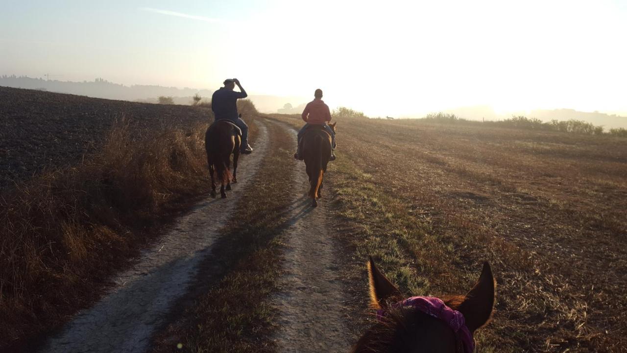 DAGO Farmhouse - Ferienwohnung Siena