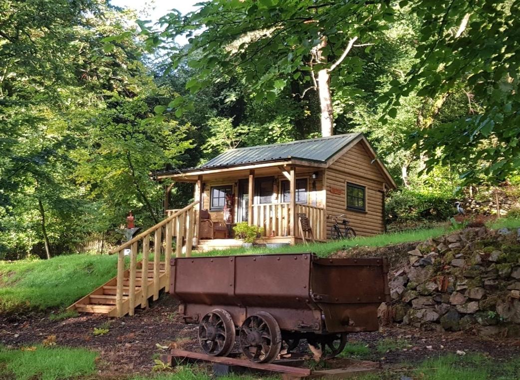 The Miners Log Cabin - B&B