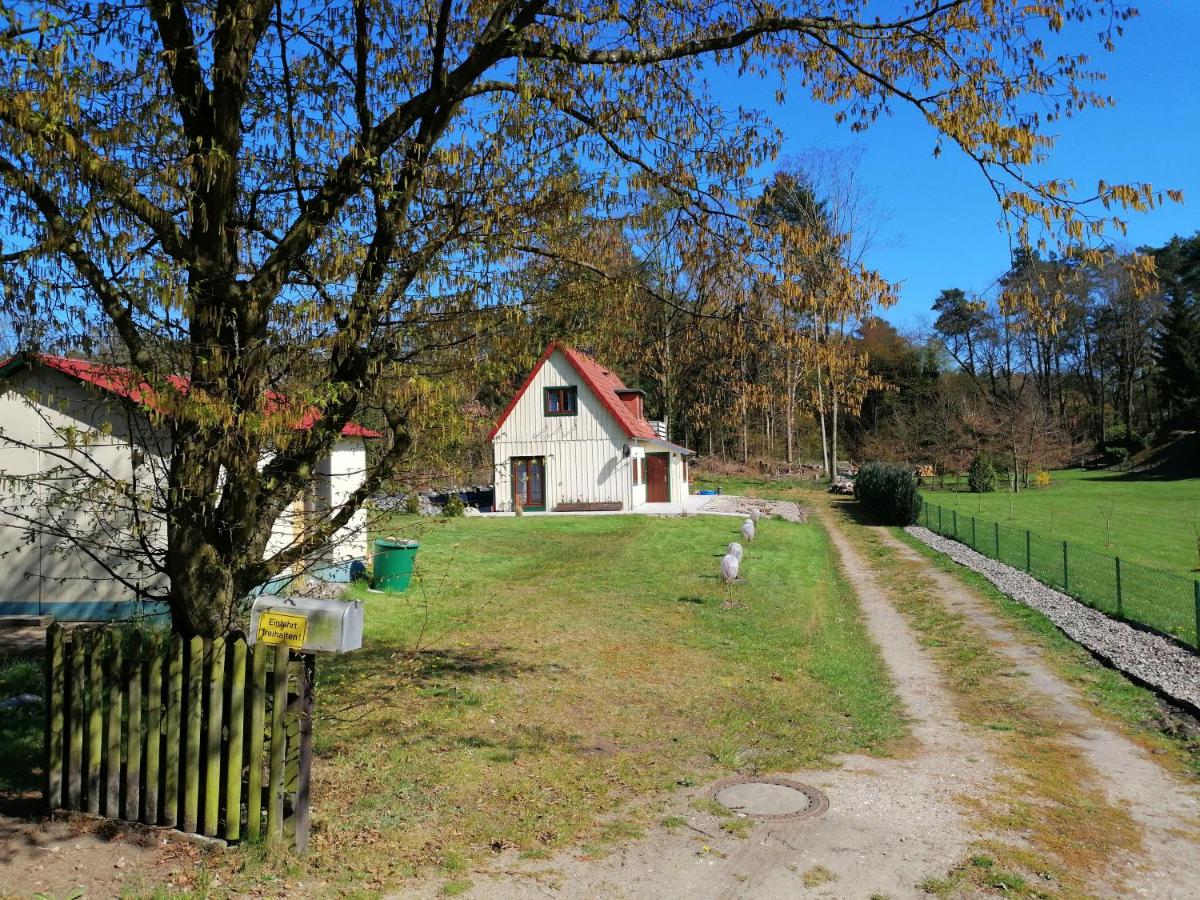 Ferienhaus 2 kleine Appartements - B&B