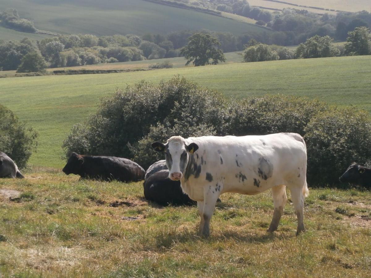 B&B Exeter - Harepath Farm Cottages 1 - Bed and Breakfast Exeter