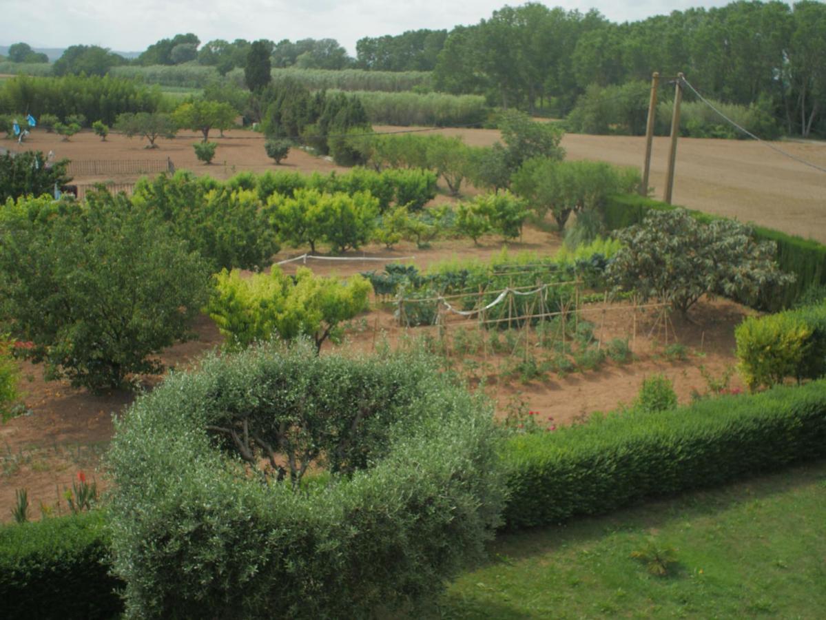 Apartment with Garden View