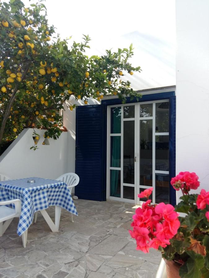 Bungalows Ingrid - Ferienwohnung