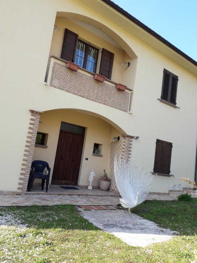 Appartamento 