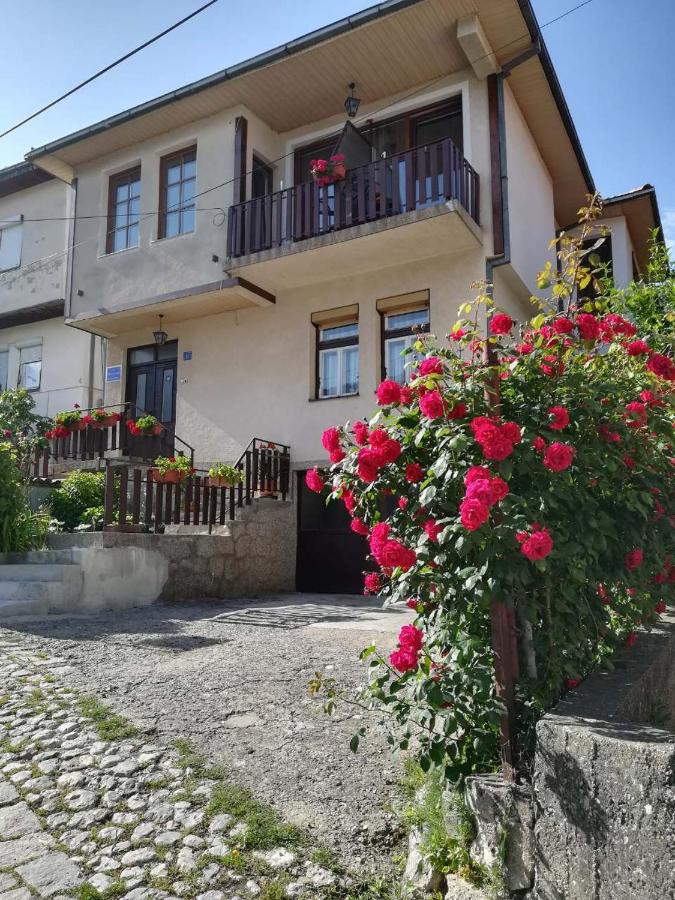 B&B Ohrid - Apartments Pendik - Bed and Breakfast Ohrid