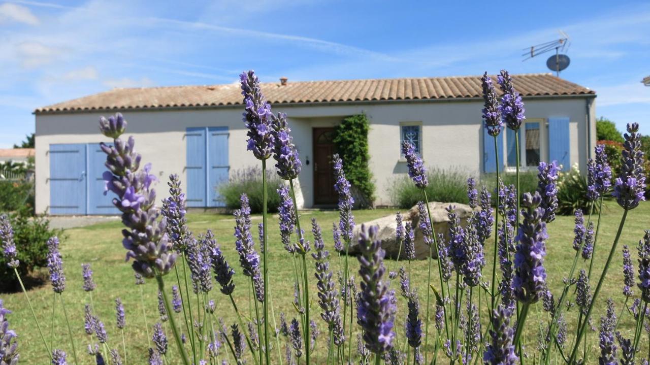 Les Lavandes - B&B
