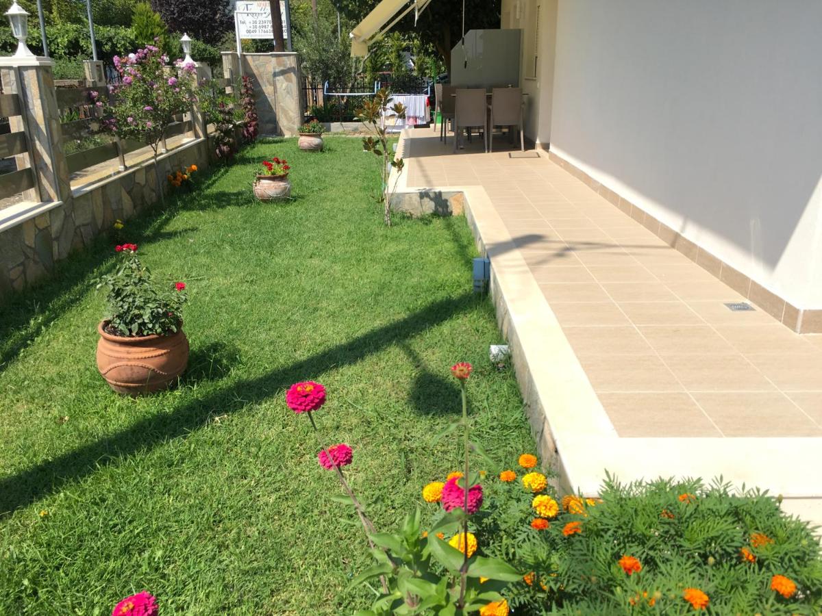 Studio with Terrace