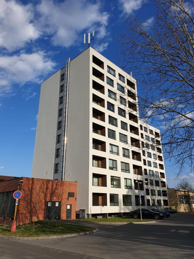 Apartment mit 1 Schlafzimmer