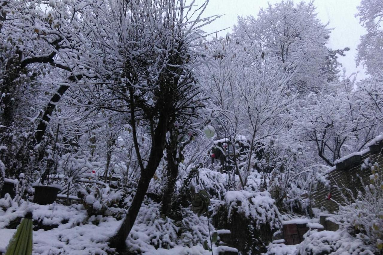 Apartment mit Gartenblick