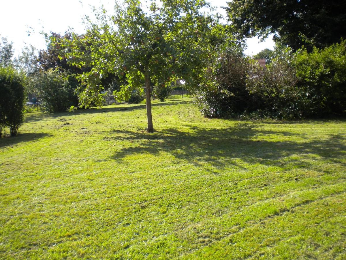 Appartement à l'ange - Ferienwohnung