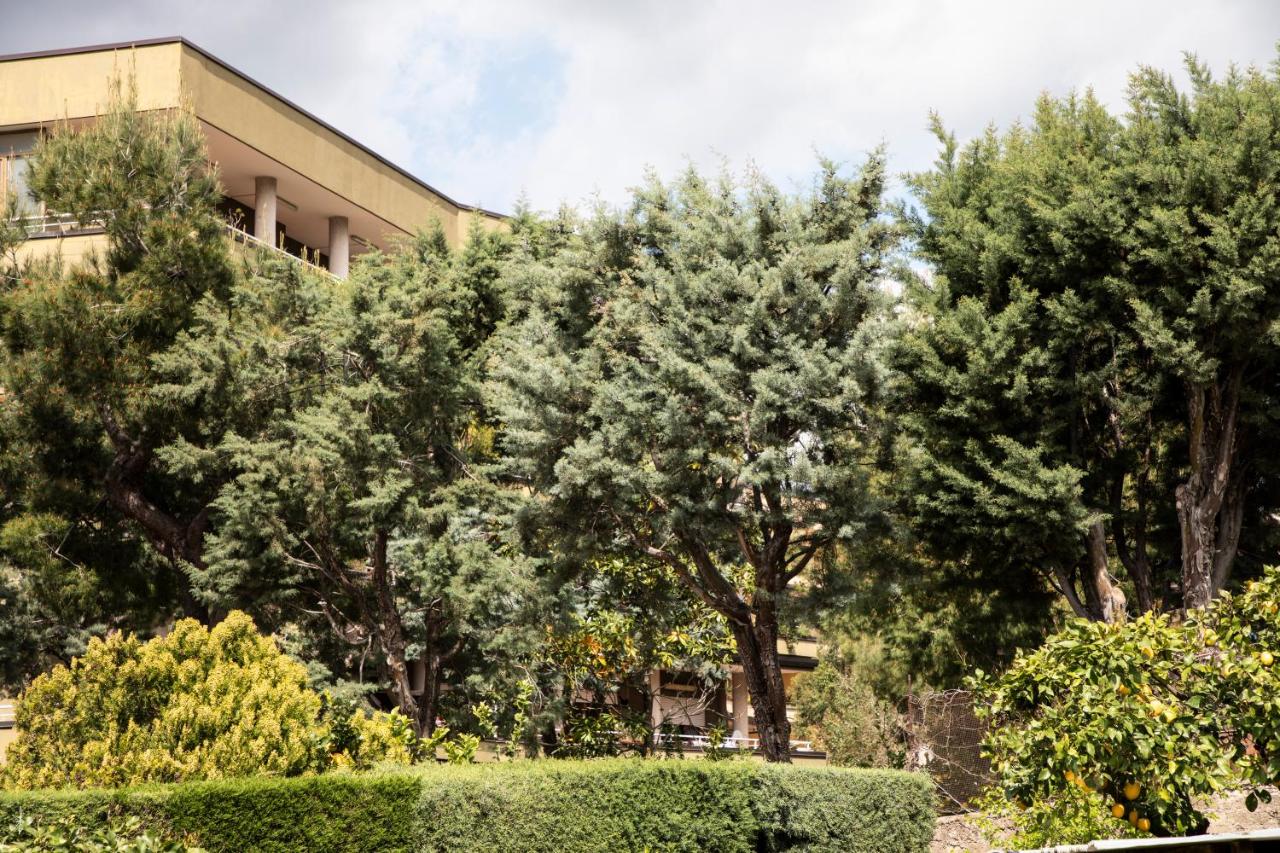 L' albero di giada - Ferienwohnung