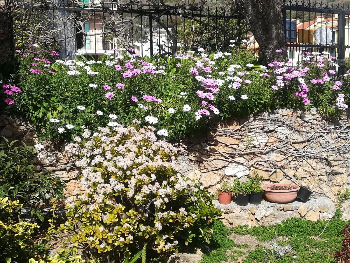 B&B Polline & Conchiglie - Ferienwohnung Ceriale