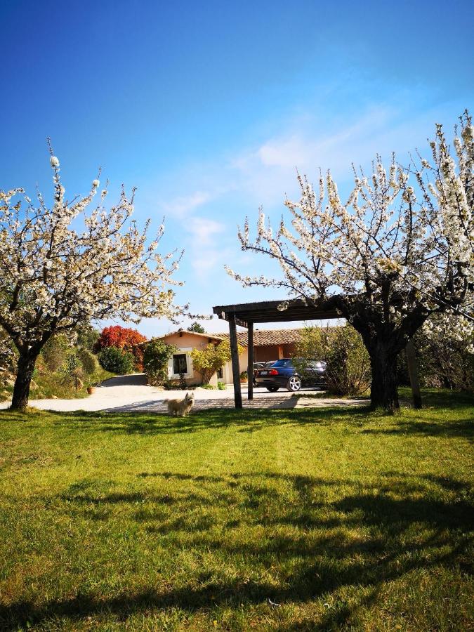 The Neame House - B&B Bédoin