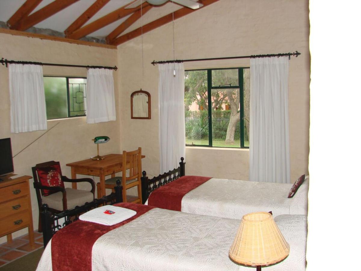 Large Twin Room