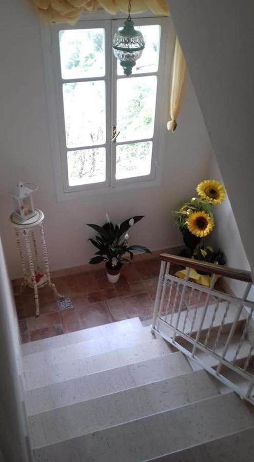 B&B Erli - Il Girasole ...At Andorus' House - Bed and Breakfast Erli