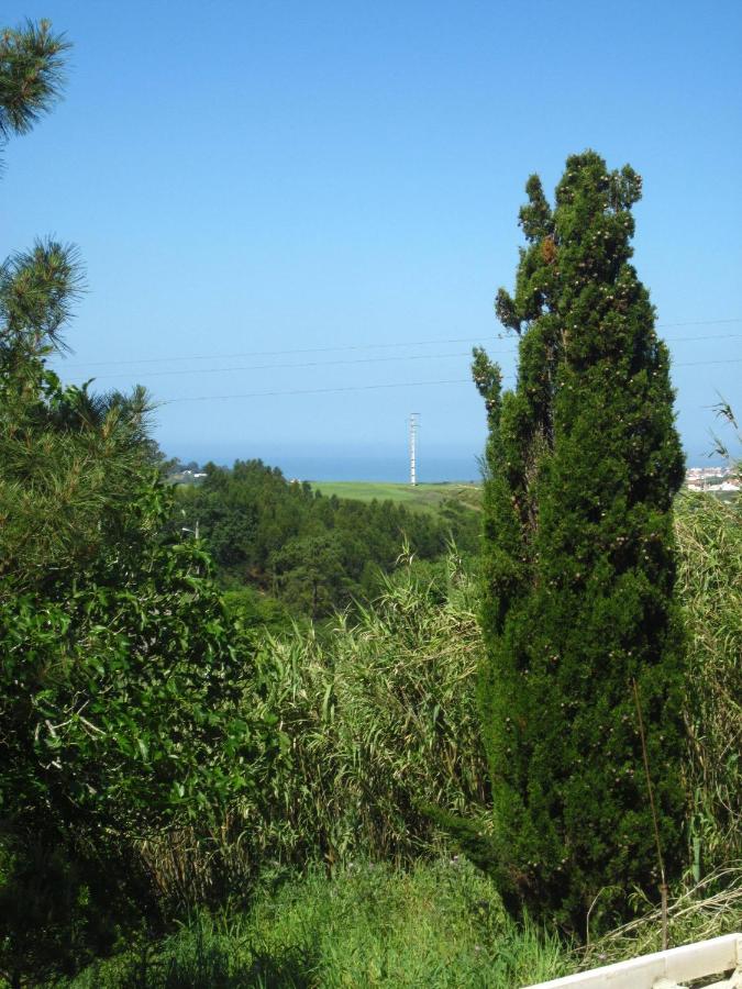 Quinta das Alfazemas - B&B Ericeira