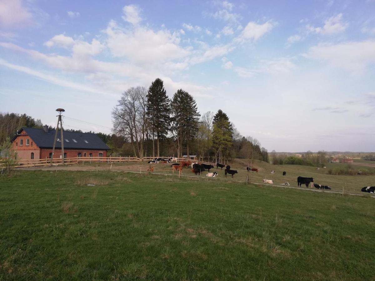 Zacisze przy lesie - B&B Ryn