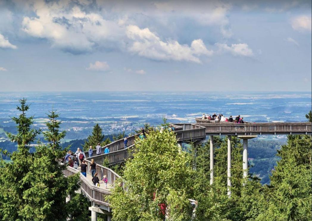 Ferienwohnung mit Blick in den Bayrischen Wald oberhalb von Sankt Engelmar - B&B