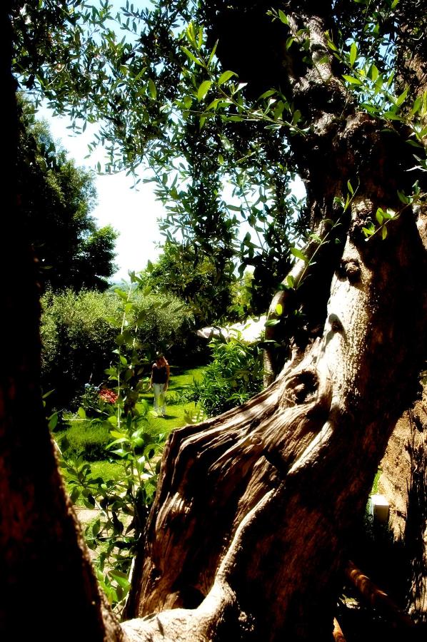 Locanda Delle Mura Anna De Croy - B&B