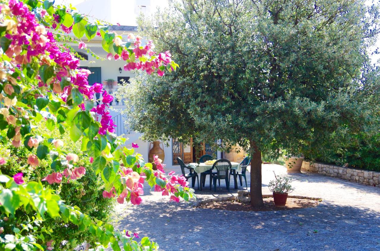 Piccola Oasi San Nicola - Ferienwohnung Ostuni