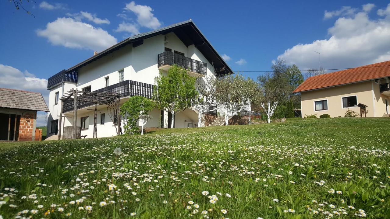 Apartment Silvia - B&B Slunj