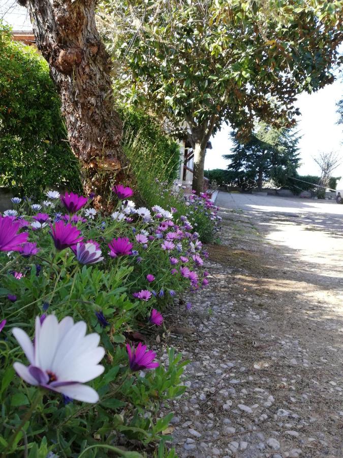 Casa Noemi - B&B