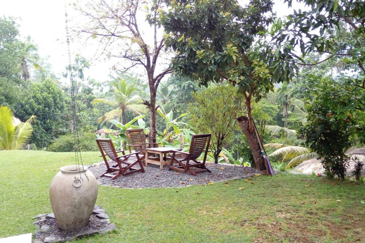 Chirping Birds - B&B Hikkaduwa